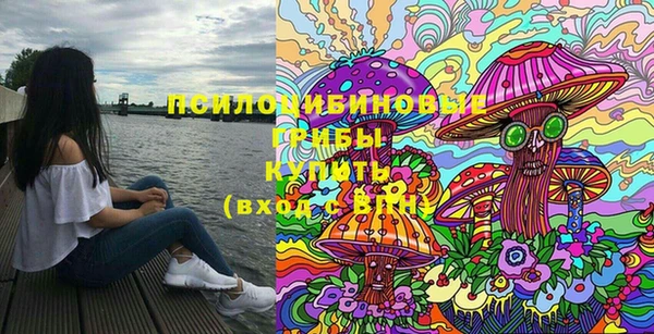 мдпв Гатчина