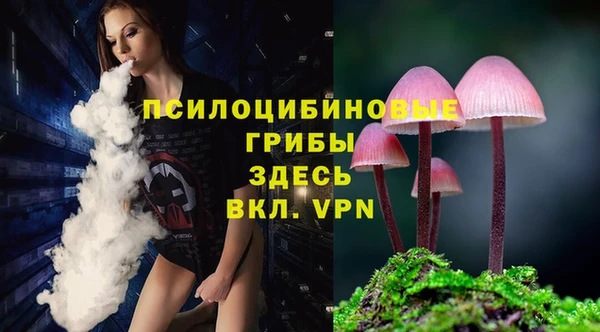 мдпв Гатчина