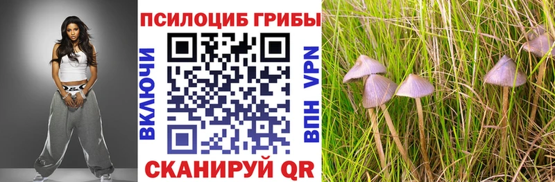 Псилоцибиновые грибы прущие грибы  Любим 