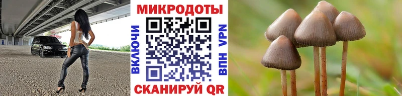 Псилоцибиновые грибы мухоморы Любим